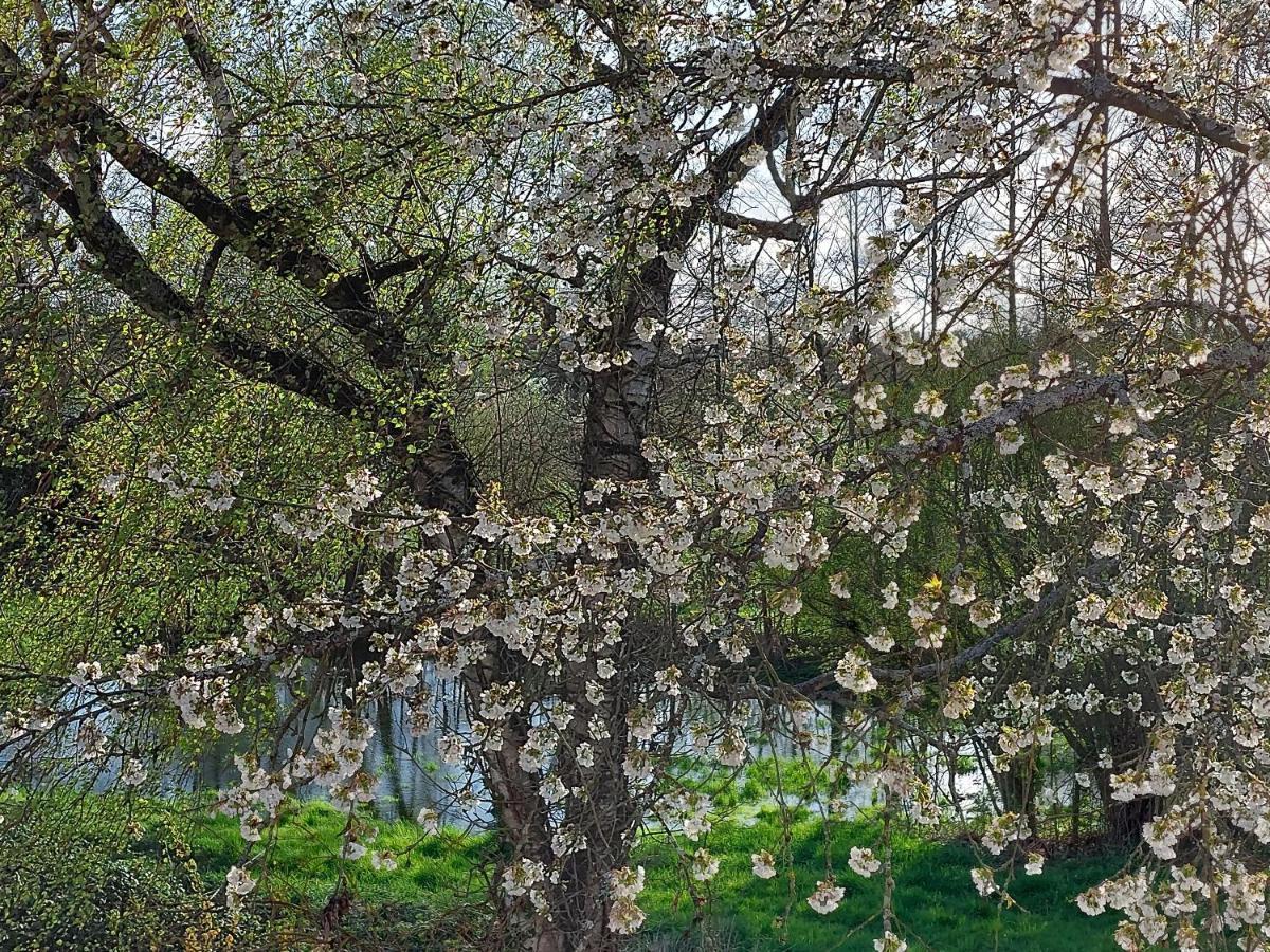 Landpartie Διαμέρισμα Freckenfeld Εξωτερικό φωτογραφία